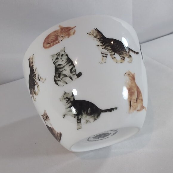 Portobello By Inspire Mug Cats Cat Loves Me Best Paw Prints England Bone China - Picture 6 of 13